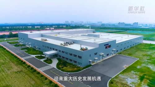 新華全媒 我見證 鹽堿地上建工廠