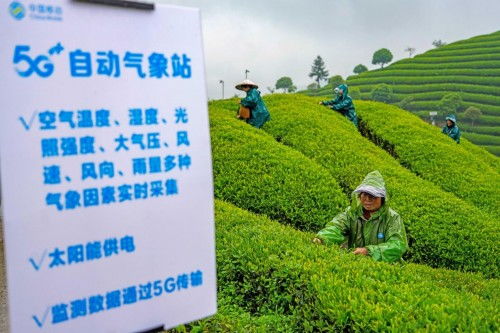 助力共同富裕 中國移動在世界互聯(lián)網(wǎng)大會上發(fā)布五項創(chuàng)新方案，賦能臺州數(shù)字化建設(shè)