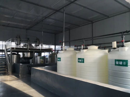 山東企業投巨資建有機肥廠，引領綠色農業新篇章